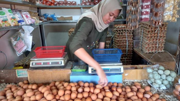 Harga Telur Melonjak, Mentan Beralasan Dinamika Nataru Sebabkan Distribusi Kurang Lancar